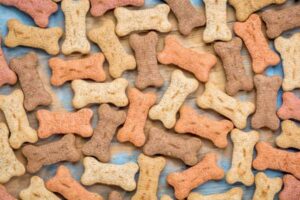 homemade dog treats