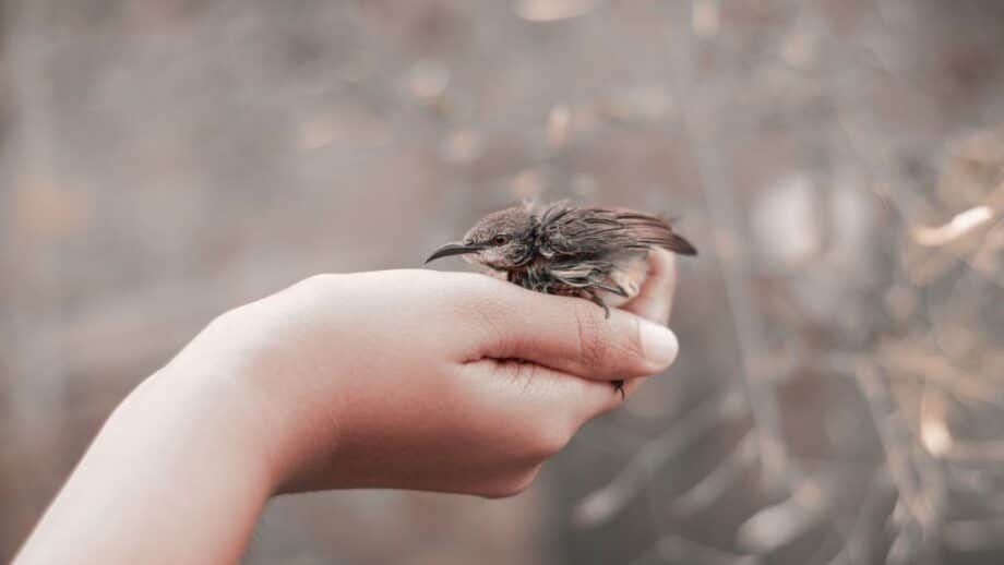 15 Outrageous Myths That Have Been Told Time And Time Again