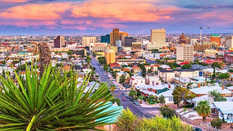 Skyline view of El Paso, Texas with plant and pretty sunset