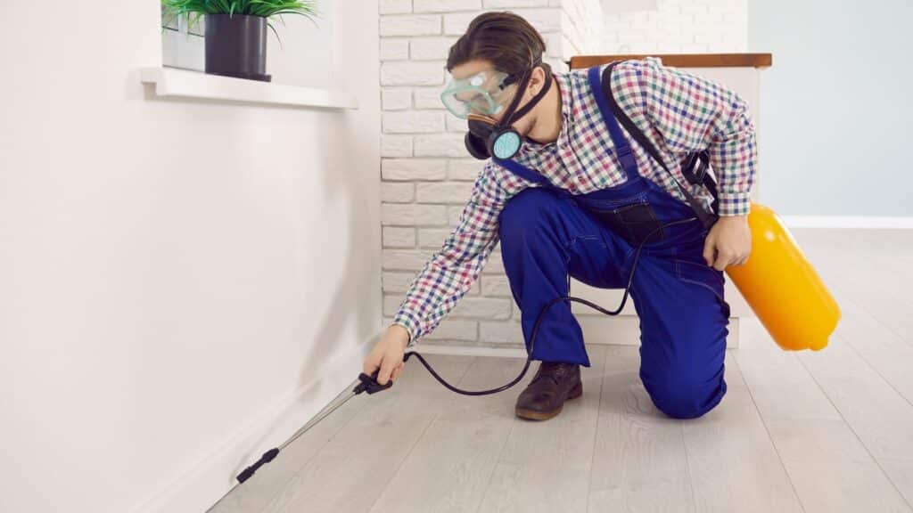 Exterminator spraying for bugs in a home