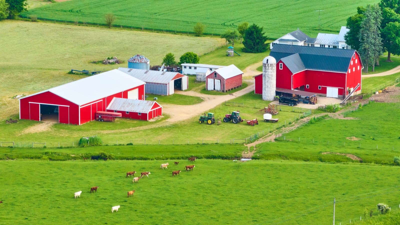 Aerial shot of farm and farm animals