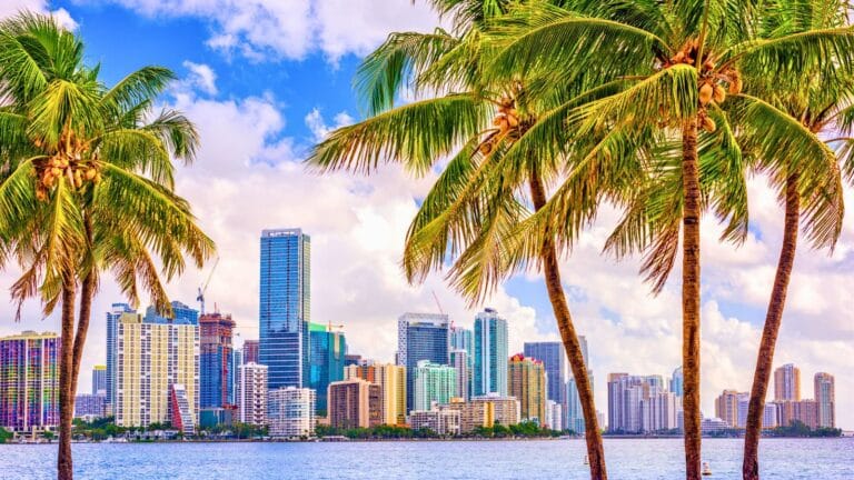 View of Miami with palm trees and clouds