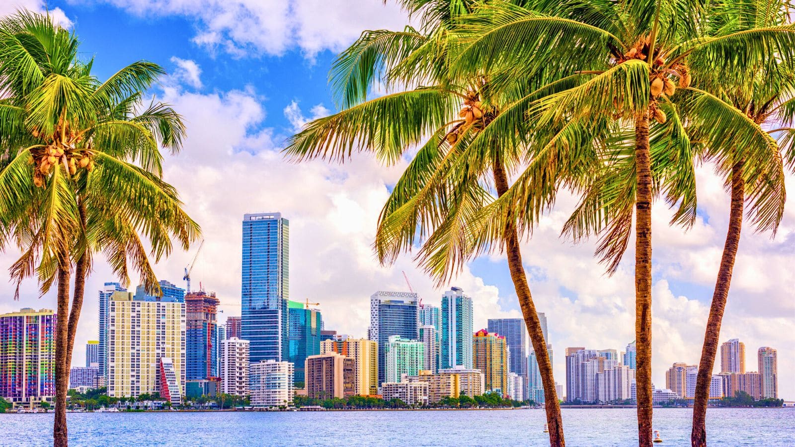View of Miami with palm trees and clouds