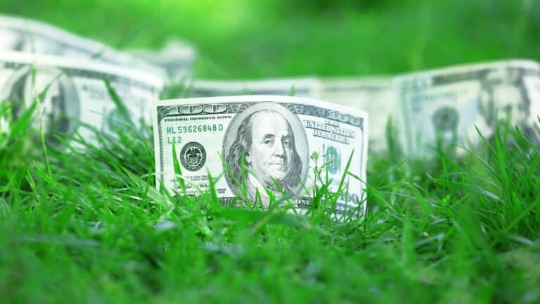 Cash sitting in the middle of grass